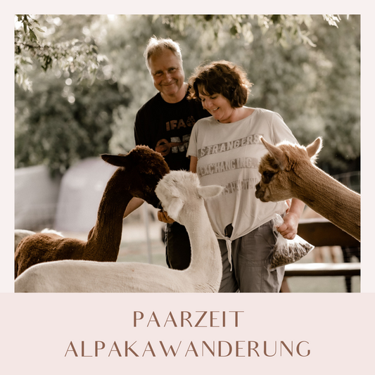 Pärchenzeit - Alpakawanderung nahe Ostsee