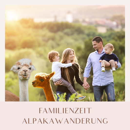 Familienzeit - Alpakawanderung